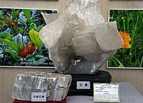 ����ҩʯ���ʯ��ҩ��˵��