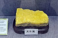 ����ҩ������