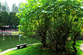 �������ع�԰԰��ֲ��