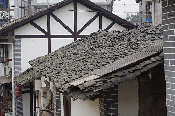 ������Ƭ