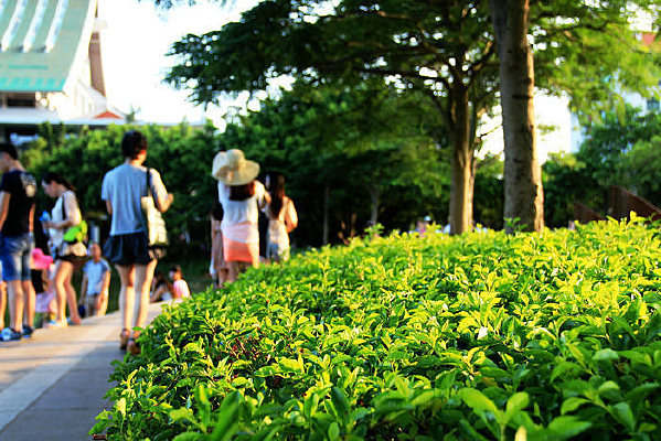 ���Ŵ�ѧ����