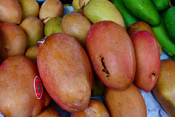 �����â��