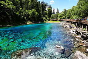 ������ʳط���