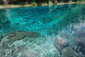 ������ʳؾ���