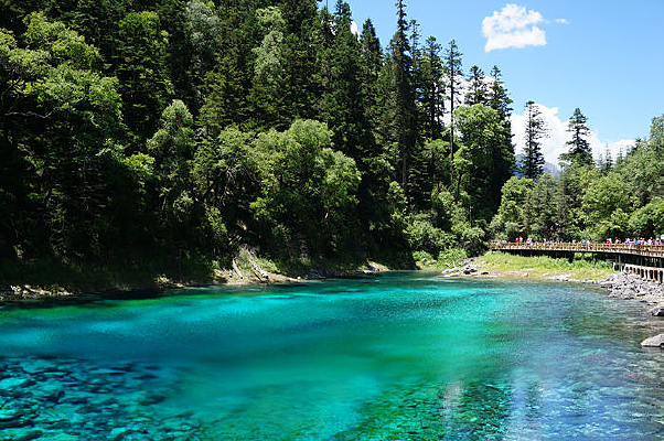 ������ʳؾ���