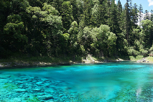 ������ʳؾ���