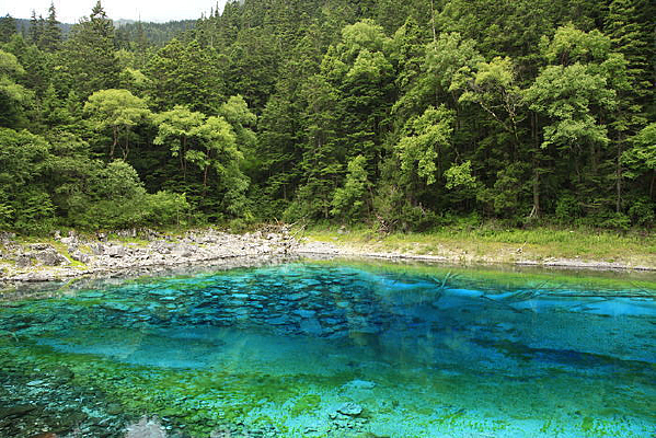 ������ʳ�����