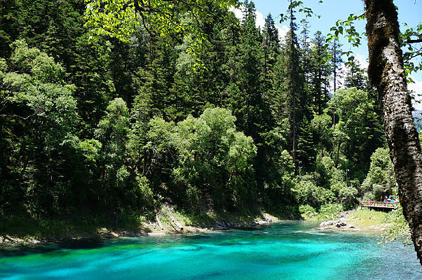 ������ʳ�����