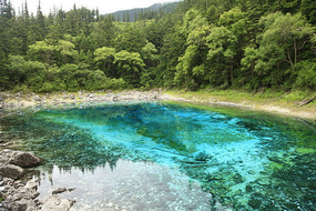 ������ʳ���Ӱ