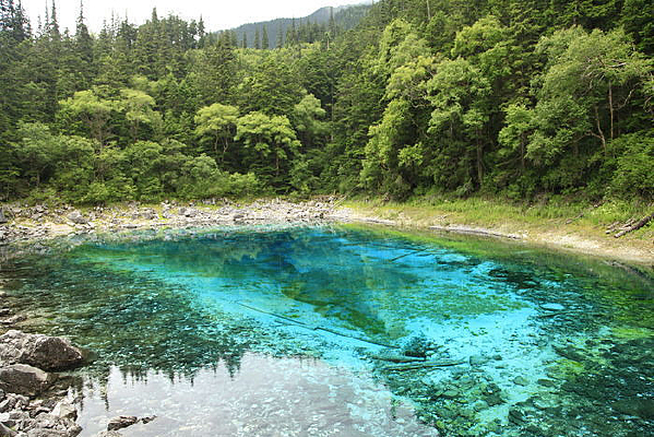 ������ʳ���Ӱ