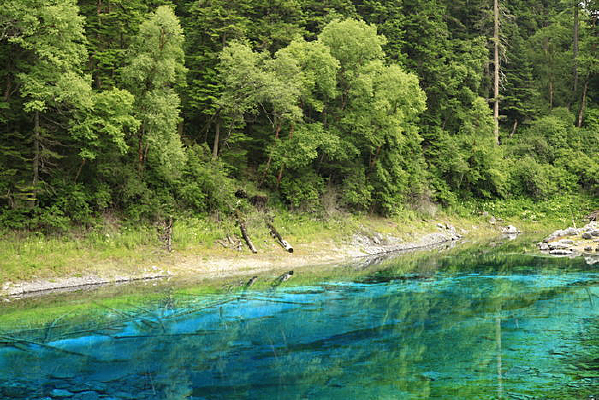 ������ʳ�����