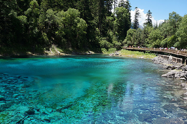 ������ʳ�����