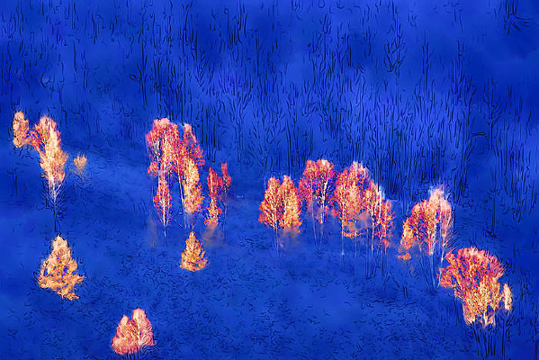 ������Ի���ɽ�°�������