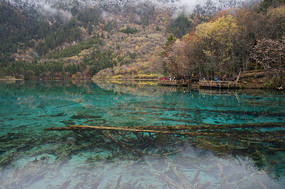 �����廨������