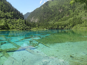 �����廨������