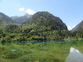 �����廨������