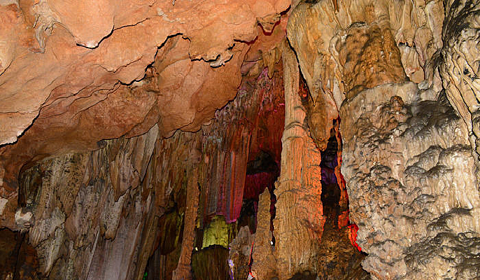 ���ֵ��ܶ�