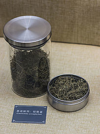 �ʹ�����Ҷ