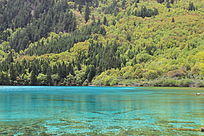 ��կ����ɫ