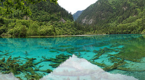 �����廨���羰