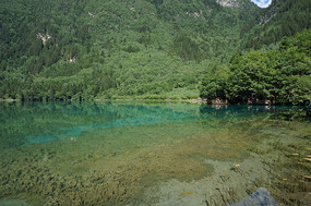 �����廨������