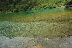 �����廨������