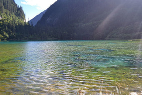 �����廨������