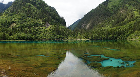 �����廨������