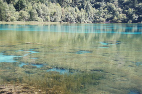 �����廨������