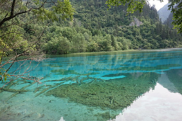 �����廨������