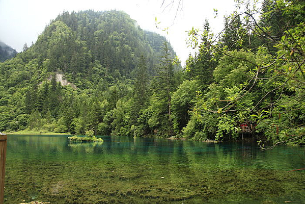 �����廨������