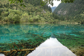 �����廨������