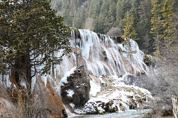 ����̲�ٲ����