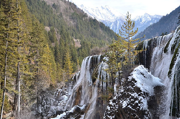 ����̲�ٲ��羰