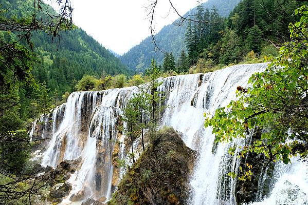 ����̲�ٲ�����