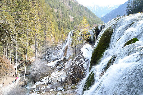 ����̲�ٲ�����