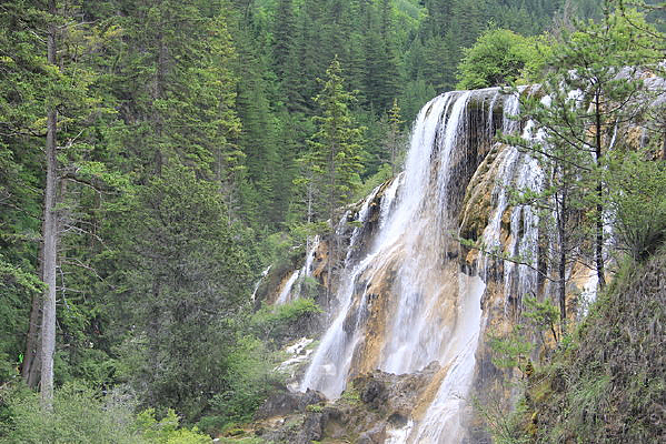 ����̲�ٲ�����