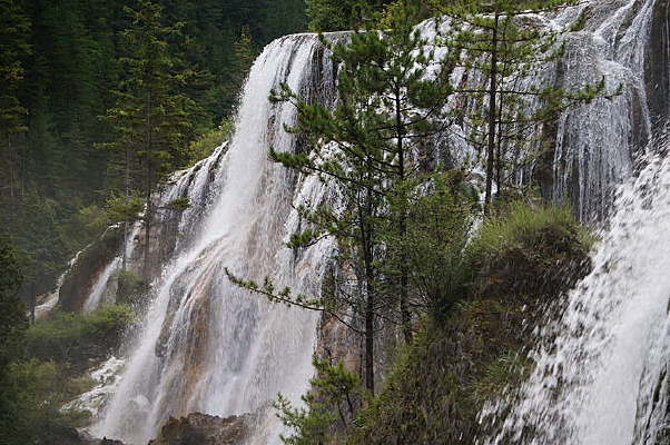 ����̲�ٲ���ɫ