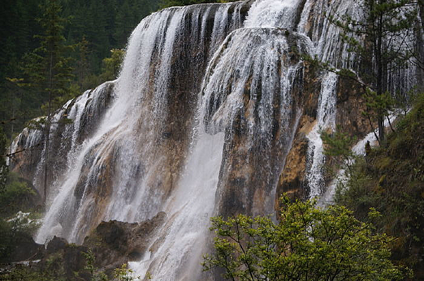 ����̲�ٲ�����