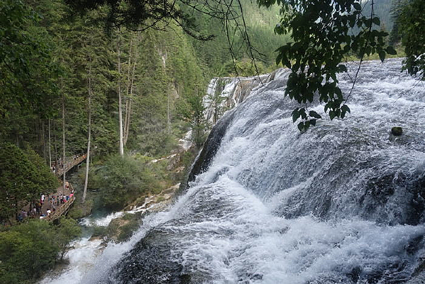 ����̲�ٲ�����