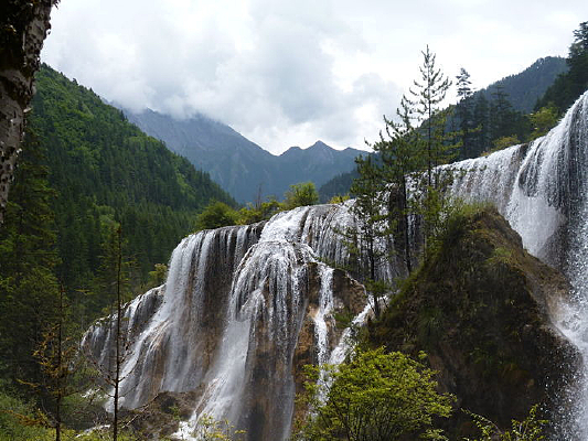 ����̲�ٲ�����