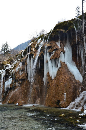 ����̲�ٲ�����