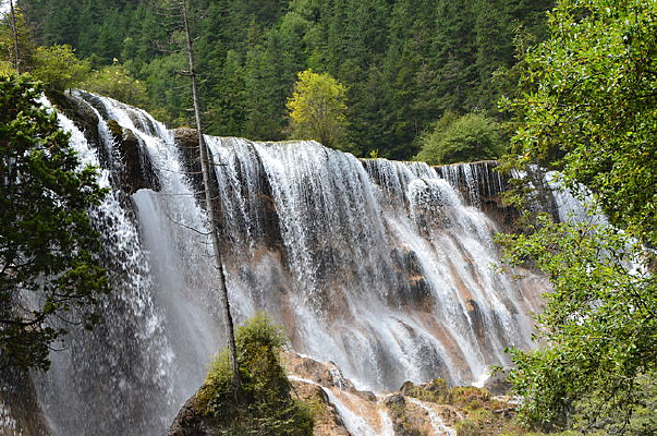 ����̲�ٲ�����