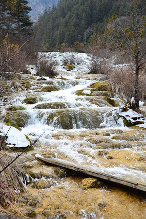 ����̲�ٲ�����