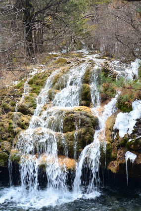 ����̲�ٲ�����