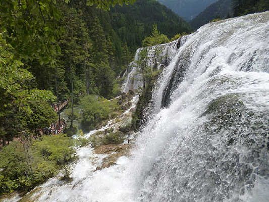 ����̲�ٲ���ɫ