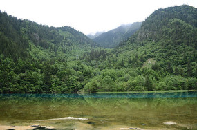 �����廨������