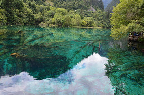 �����廨������