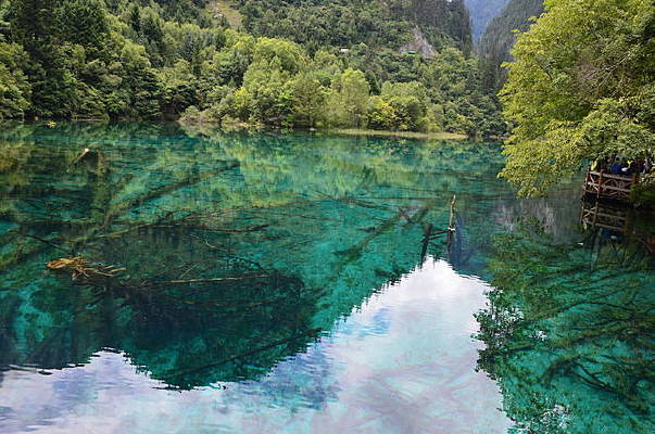 �����廨������