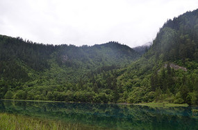 �����廨������